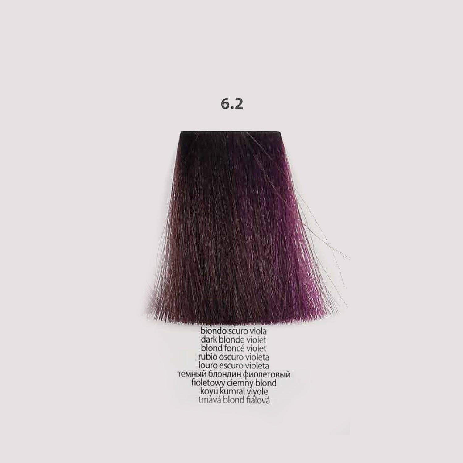 BACO Color Glaze Demi Color | .2 Violets