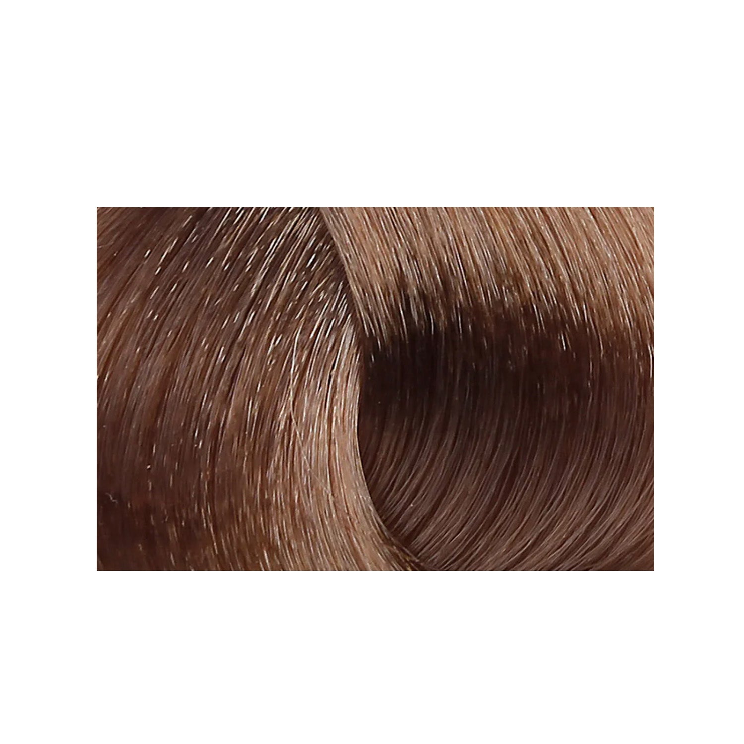 BACO Permanent Hair Color - Intense Brunette