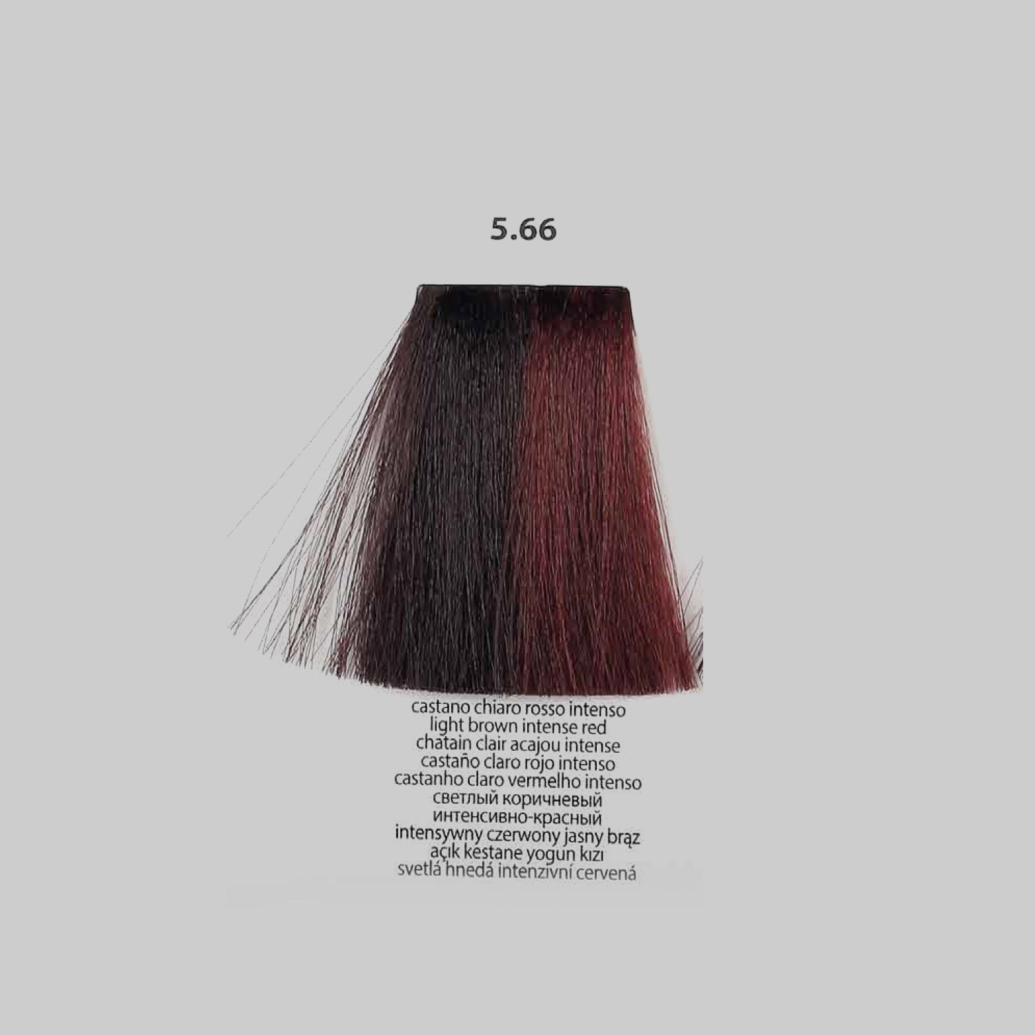 BACO Color Glaze Demi Color | .66 Intense RED