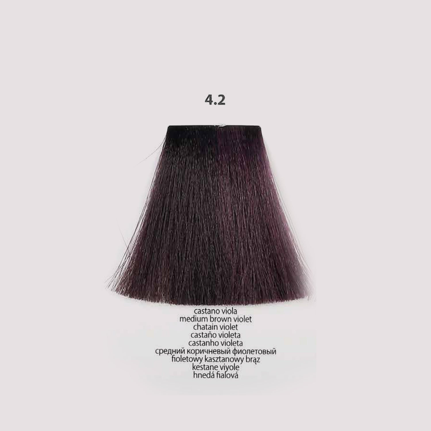 BACO Color Glaze Demi Color | .2 Violets