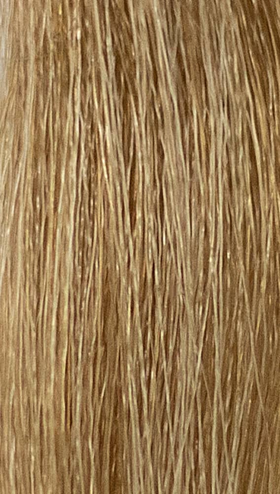 REF Permanent Hair Color, Bahias