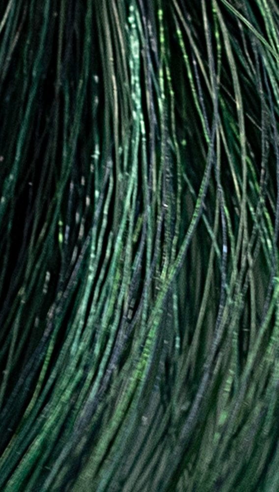 REF Permanent Hair Color Pastels