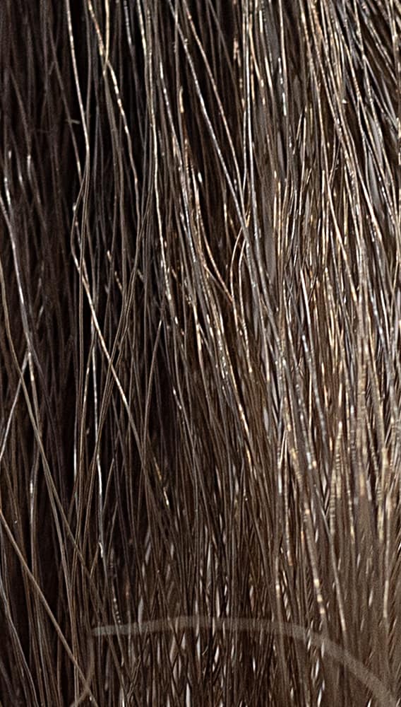 REF Soft Hair Color Toner, Goldens