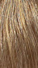 REF Soft Hair Color Toner, Saharas