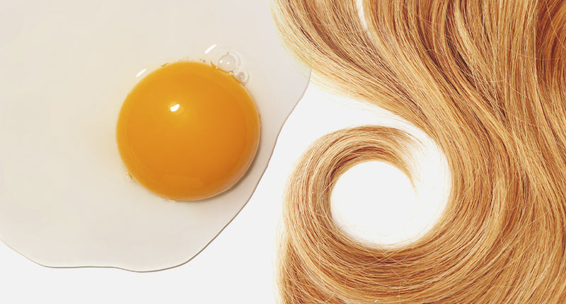 What Egg Yolk Actually Does to Hair