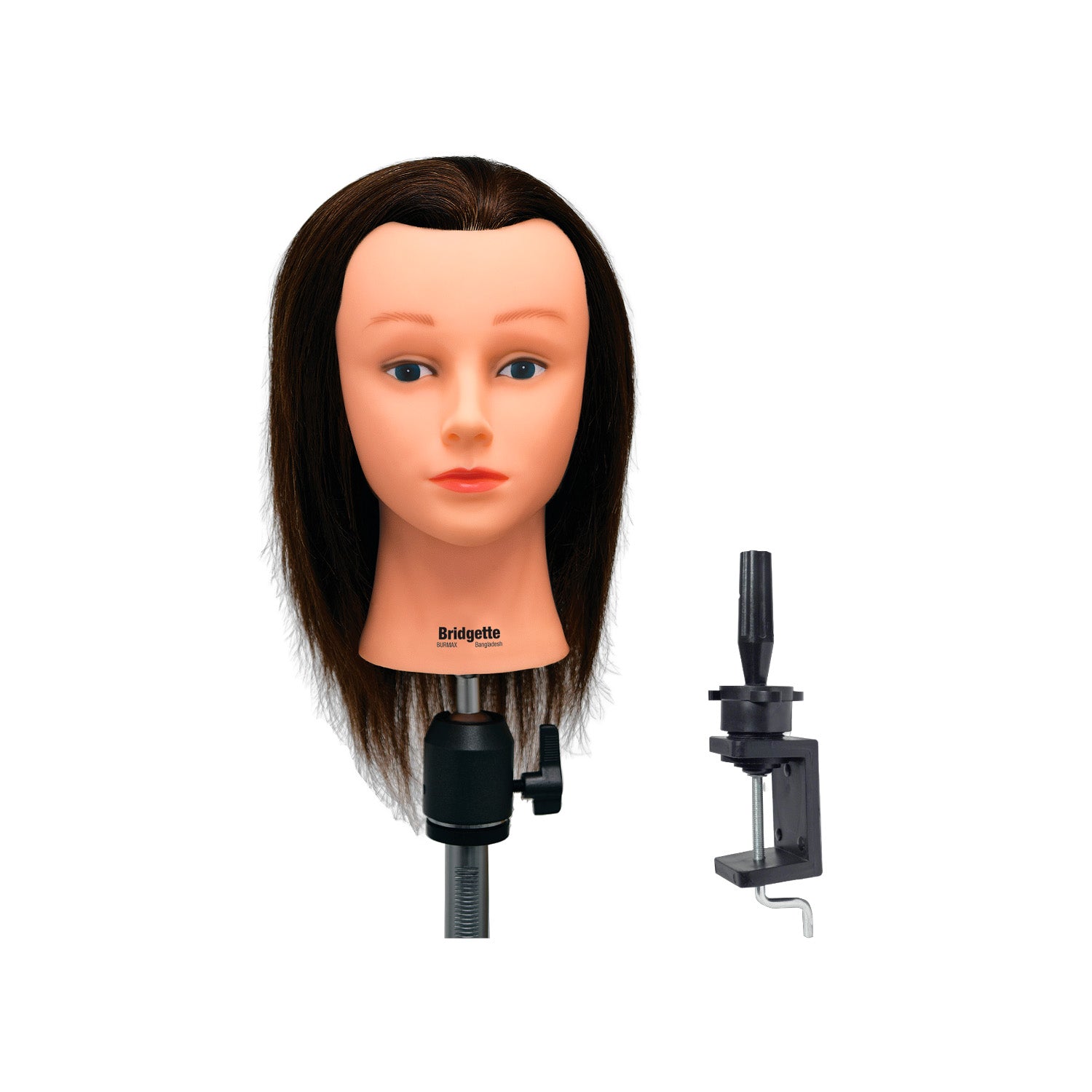 Burmax - Bridgette Budget Manikin with Holder