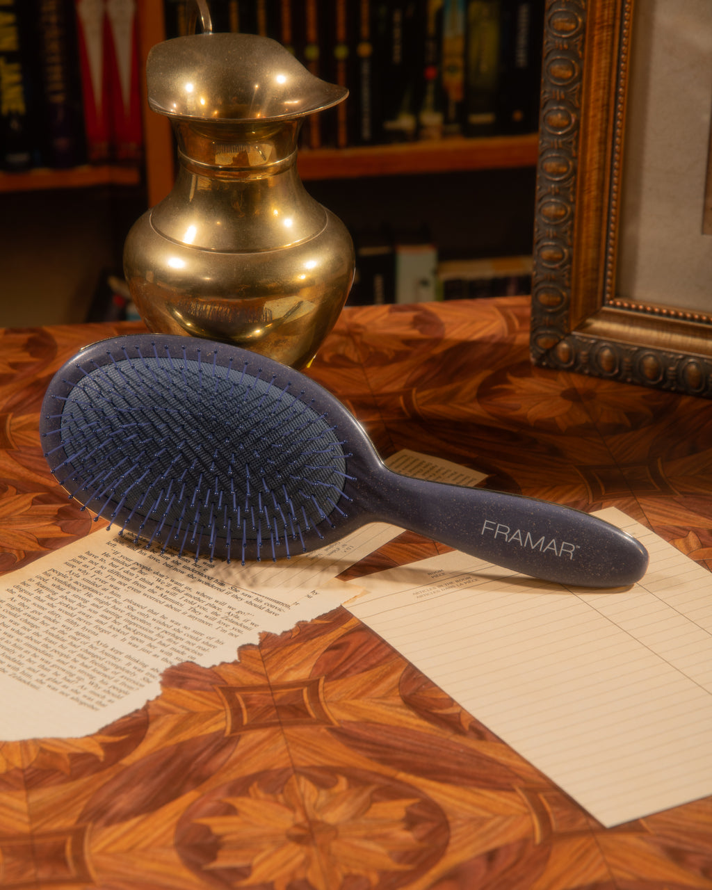 Framar Dark Academia Detangler Brushes