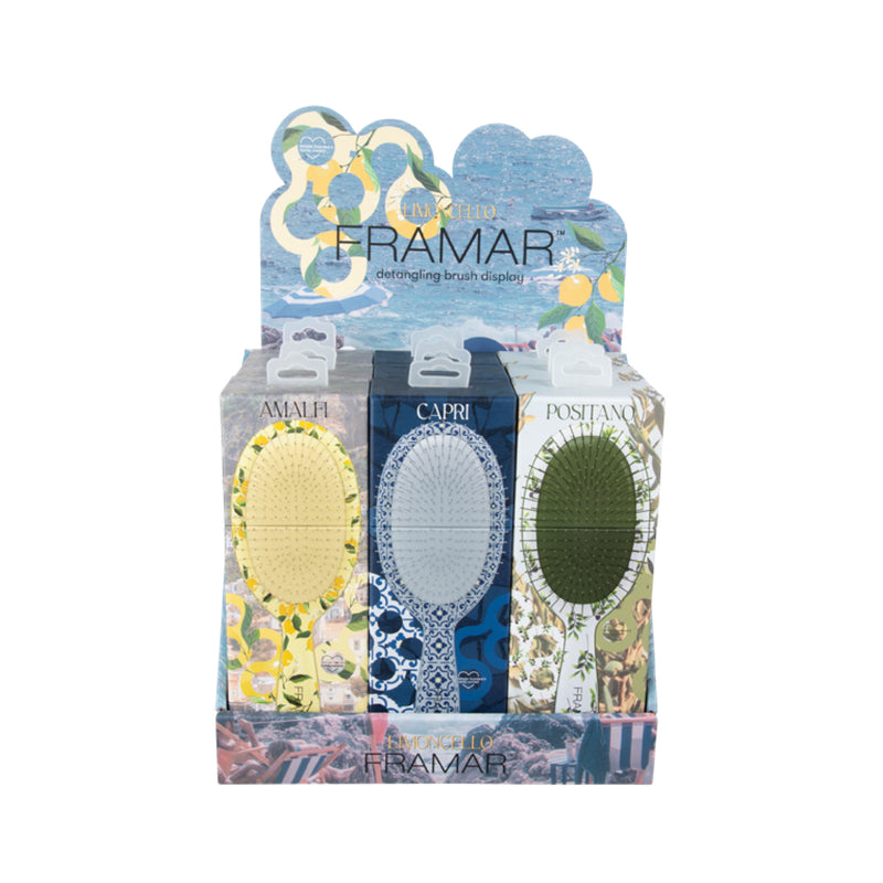 Framar Limoncello Series Detangler Brushes Display