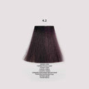 BACO Color Glaze Demi Color |  .2 Violets