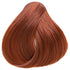 OYA Coppers Demi Permanent Color
