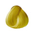 OYA Wild Direct Vibrant Hair Color