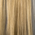 Prorituals Hair Color Beiges HIGHPERFORMANCE HAIR COLOR