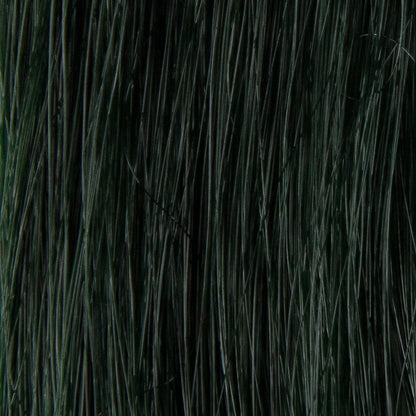 Prorituals Hair Color  Boosters HIGH PERFORMANCE HAIR COLOR