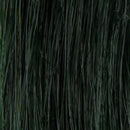 Prorituals Hair Color  Boosters HIGH PERFORMANCE HAIR COLOR