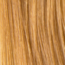 Prorituals Hair Color  Boosters HIGH PERFORMANCE HAIR COLOR