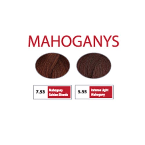 REF Permanent Hair Color Mahoganys