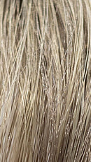 REF Permanent Hair Color Pastels