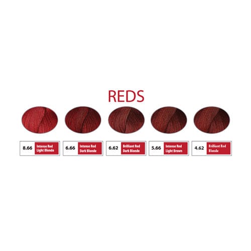 REF Permanent Hair Color Reds