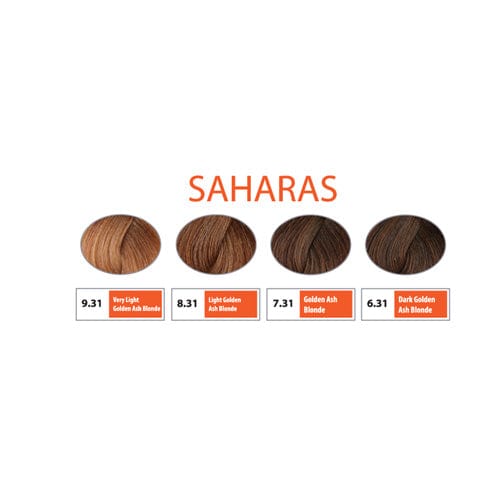 REF Permanent Hair Color Saharas