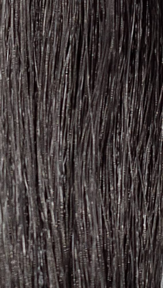 REF Permanent Hair Color Woods