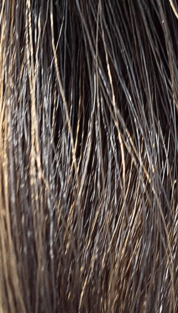 REF Soft Hair Color Toner, Ashes