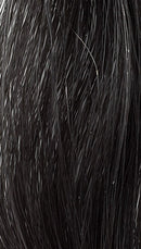 REF Soft Hair Color Toner, Cool Ashes