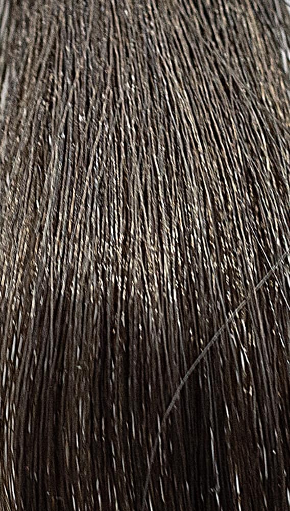 REF Soft Hair Color Toner, Woods