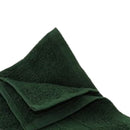 Salon Regular Towels