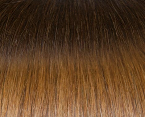 Seiseta Tape-In Hair Ombre Extensions